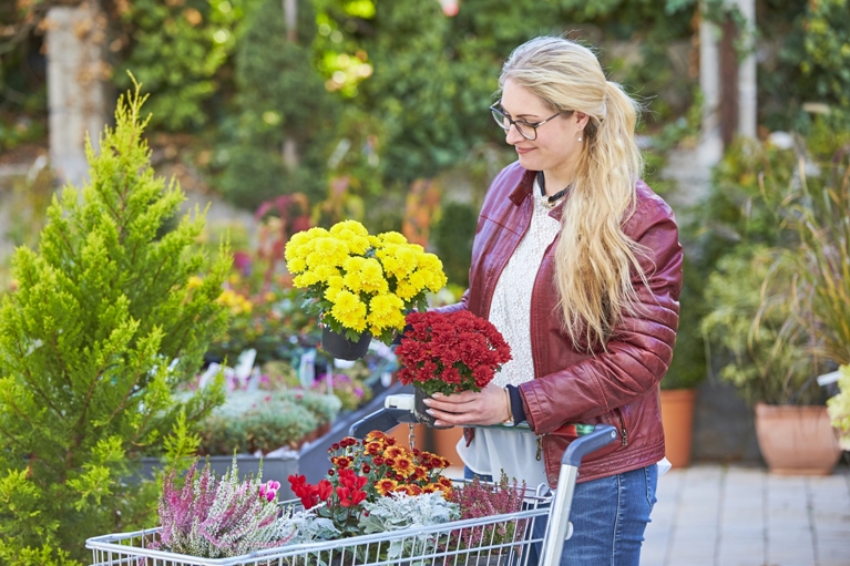 Schaurig schöne Augenblicke zu Halloween - Gartenbauverband Baden